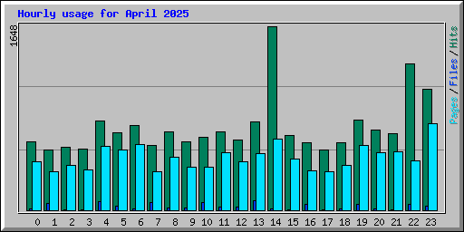 Hourly usage for April 2025