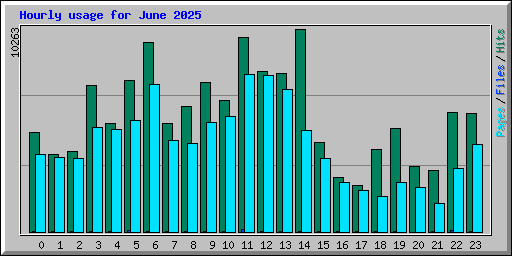 Hourly usage for June 2025