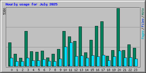 Hourly usage for July 2025