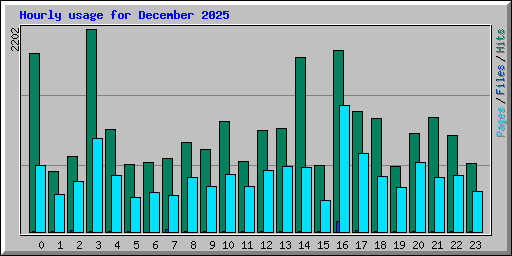 Hourly usage for December 2025