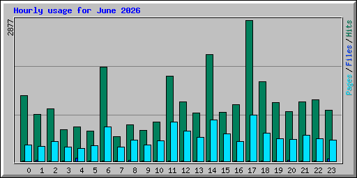 Hourly usage for June 2026